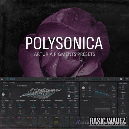 Basic Wavez Polysonica Arturia Pigments Presets For Melodic House And Techno Synth Presets