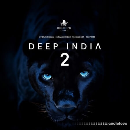 Black Octopus Sound Deep India Vol.2 WAV