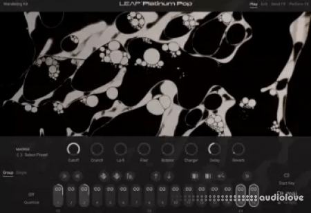 Native Instruments Leap Platinum Pop v1.0.0 KONTAKT