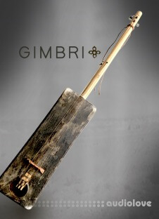 Cinematique Instruments Gimbri