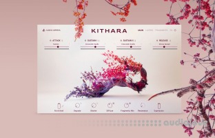 Native Instruments Kithara