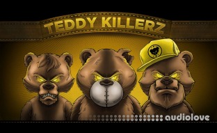 Teddy Killerz Drum n Bass 2023 Patreon Sample and Presets Pack