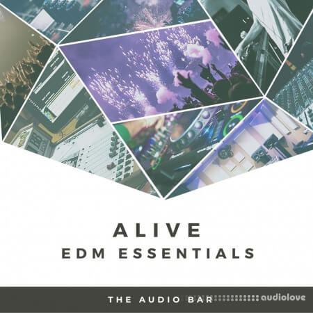 The Audio Bar Alive EDM Essentials WAV