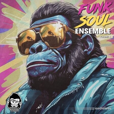 Vanilla Groove Studios Funk Soul Ensemble Vol 1 WAV