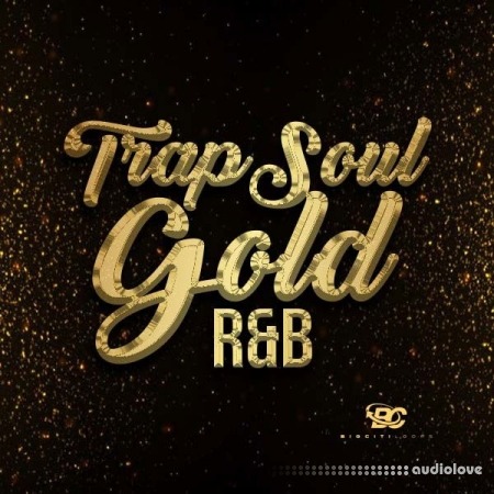 Big Citi Loops Trapsoul Gold RnB WAV