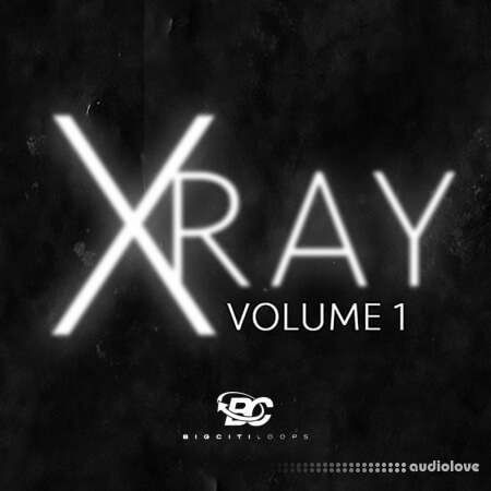 Big Citi Loops X-Ray Vol 1 WAV