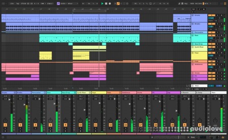 Ableton Live 12 Suite v12.1.1 MacOSX