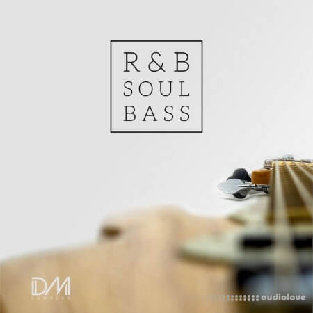 Dm Samples RnB Soul Bass