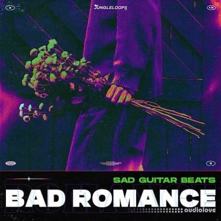 Jungle Loops Bad Romance - Sad Guitar Beats