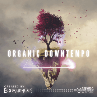 Gravitas Organic Downtempo - Create by Equanimous