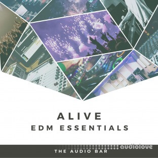 The Audio Bar Alive EDM Essentials