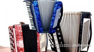 Udemy Accordion for complete beginners. BOOK 1