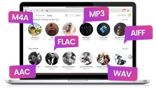 Ondesoft Pandora Music Converter