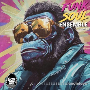 Vanilla Groove Studios Funk Soul Ensemble Vol 1