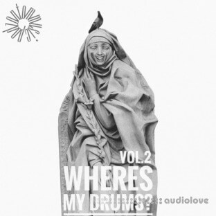 Podzontommusic Wheres my drums Vol.2