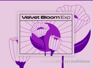 Native Instruments Velvet Bloom