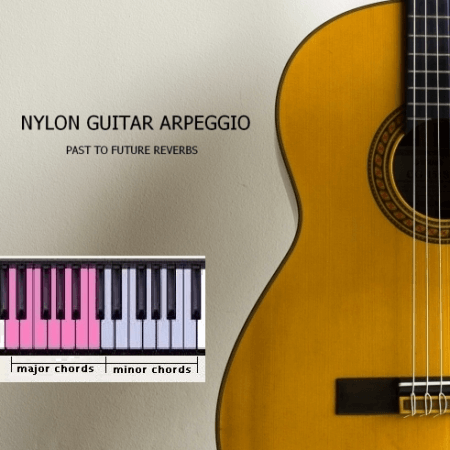 PastToFutureReverbs Nylon Guitar Arpeggio For Kontakt! KONTAKT