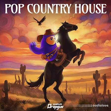 Dropgun Samples Pop Country House WAV Synth Presets