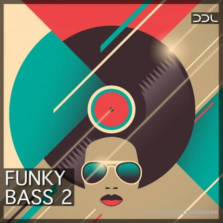 Deep Data Loops Funky Bass 2 WAV