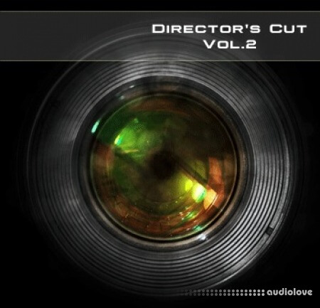 Soundsdivine Director's Cut Vol.2 Synth Presets