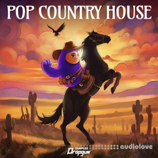 Dropgun Samples Pop Country House