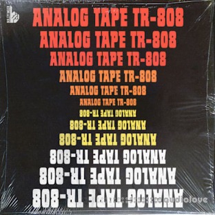 Bullyfinger Analog Tape TR-808