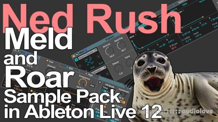 Ned Rush Meld and Roar Sample Pack Fun DAW Templates