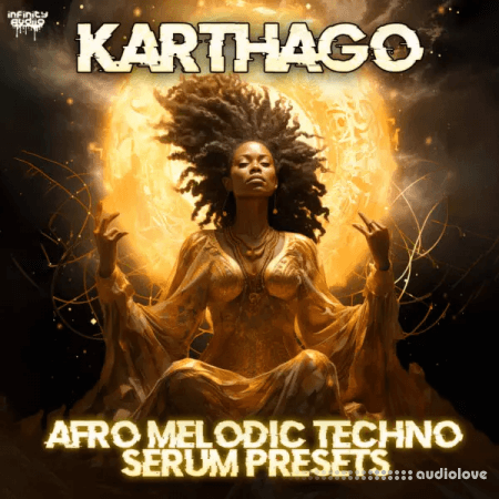 Infinity Audio Karthago Afro Melodic Techno Serum Presets Synth Presets