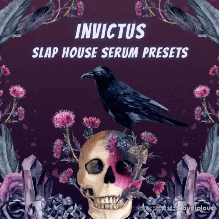 Infinity Audio Invictus Slap House