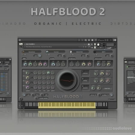 Insanity Samples HALFBLOOD 2 v1.5.0 KONTAKT