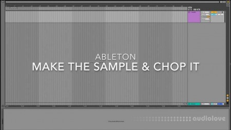 JNTHN STEIN Ableton Production Techniques: Make the sample and Chop It DAW Templates