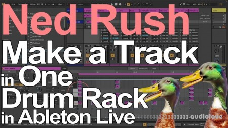 Ned Rush Make a Track in One Drum Rack DAW Templates