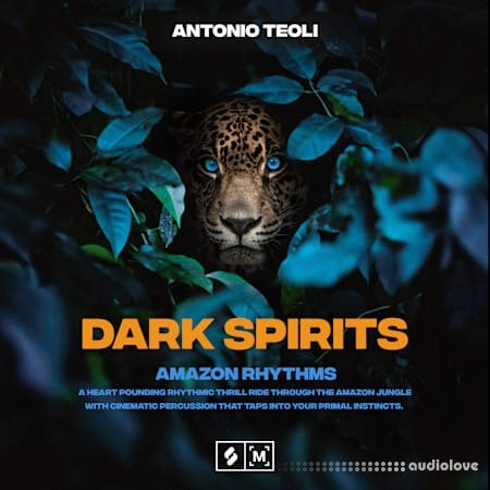 Montage by Splice Dark Spirits: Amazon Rhythms