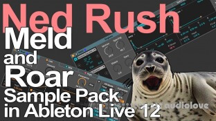 Ned Rush Meld and Roar Sample Pack Fun