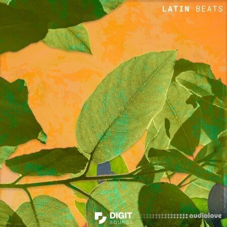 Digit Sounds Latin Beats WAV