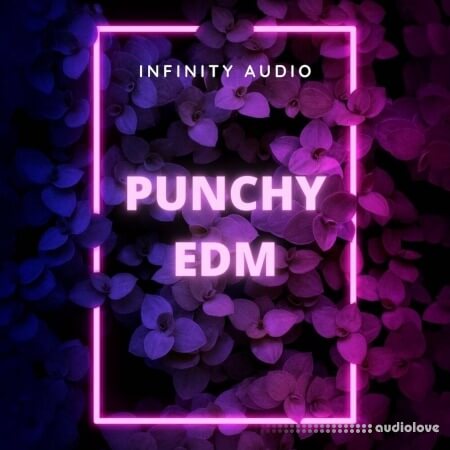 Infinity Audio Punchy EDM WAV MiDi