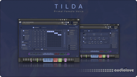 Insanity Samples Tilda v1.0.3 KONTAKT