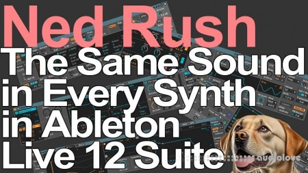 Ned Rush The Same Sound in Every Synth