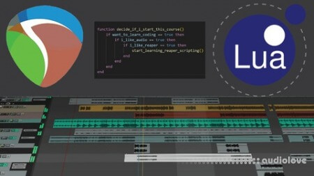 Udemy Reaper Scripts for Beginners TUTORiAL