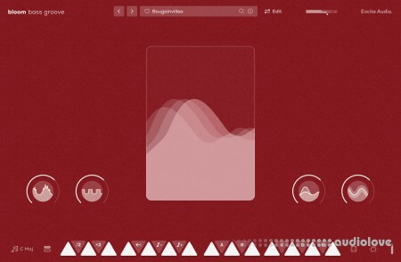 Excite Audio Bloom Bass Groove v1.0.0 WiN
