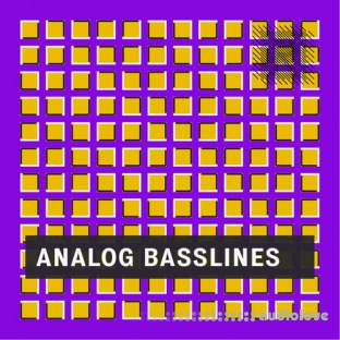 Riemann Kollektion Analog House Basslines 1