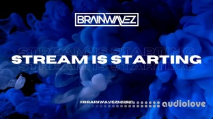 Brainwavez 'Crackdown' Project Breakdown