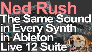 Ned Rush The Same Sound in Every Synth