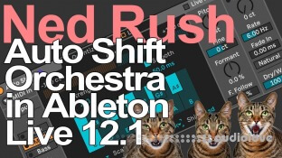 Ned Rush Auto Shift Orchestra