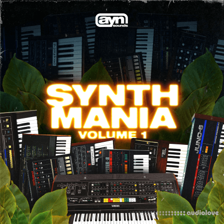 AYN Sounds Synth Mania Vol.1 WAV