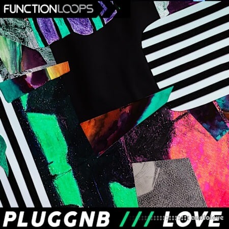 Function Loops Pluggnb Love WAV