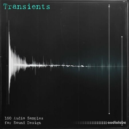 Eric Bowman Transients Sample Pack WAV Synth Presets