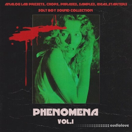 Solt Boy Sound Collection Phenomena Vol.1 (Multi Kit) WAV Synth Presets