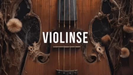 Steinberg Violinse Synth Presets