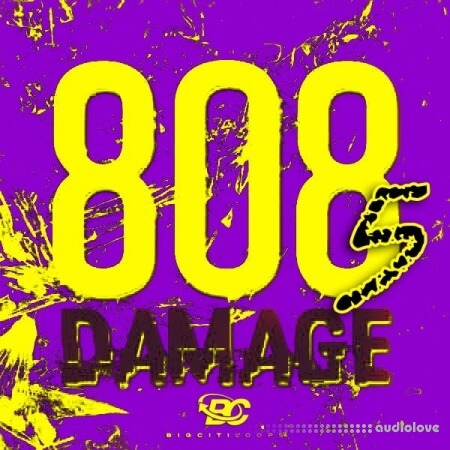 Big Citi Loops 808 Damage 5